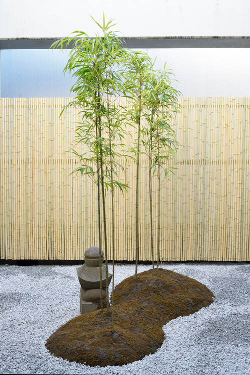 竹の基礎知識から 竹垣のお手入れ方法まで 竹を知り 竹を使おう Houzz ハウズ