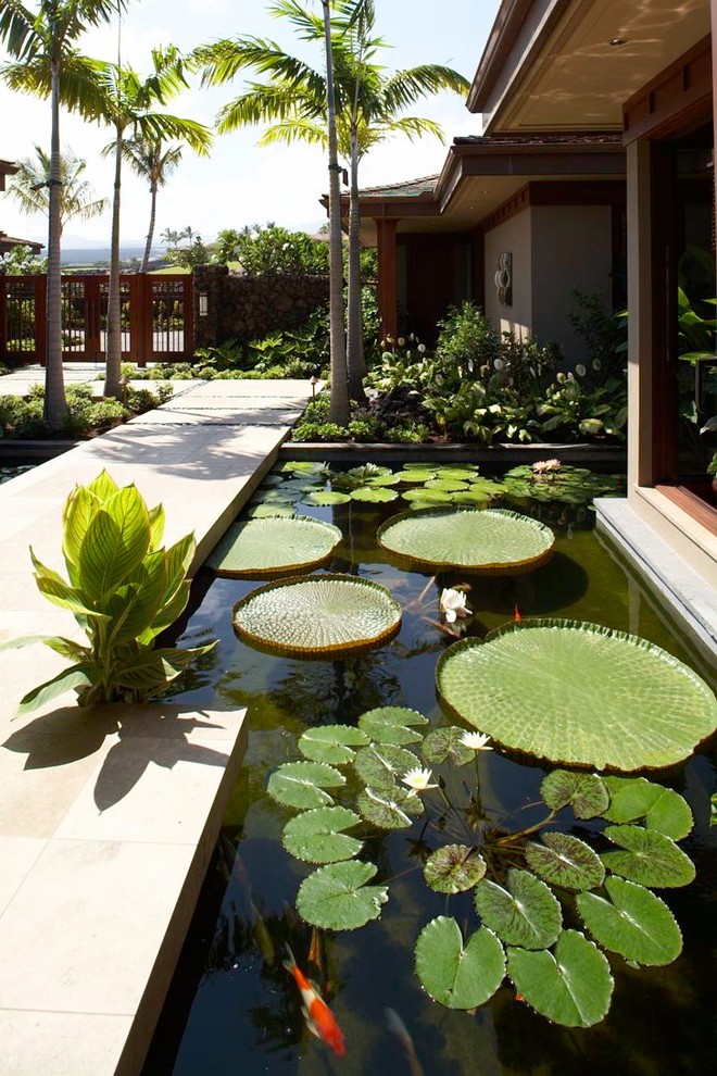 Photo of a tropical water fountain landscape in Hawaii.