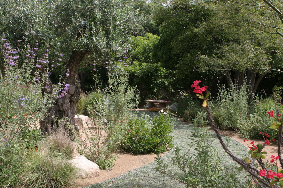 Foto di un ampio giardino xeriscape mediterraneo esposto in pieno sole nel cortile laterale con un ingresso o sentiero