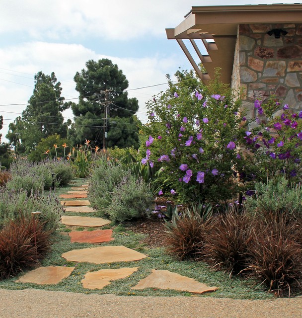 La Jolla midcentury Modern Retro Garden San Diego by Torrey