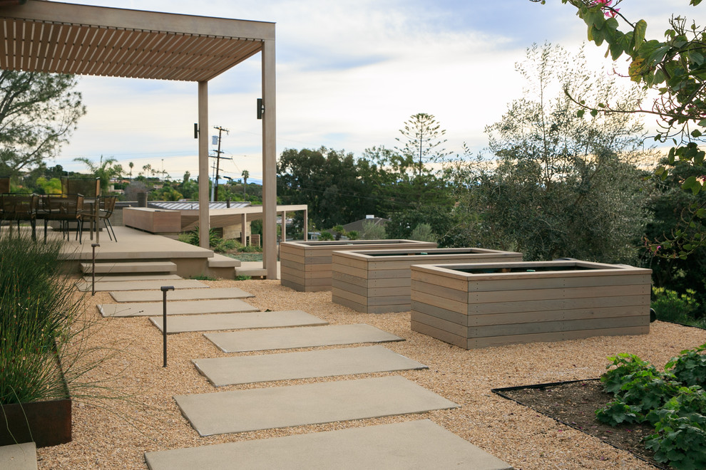 Inspiration for a medium sized contemporary garden in San Diego.