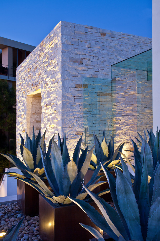 Design ideas for a contemporary garden in San Diego.