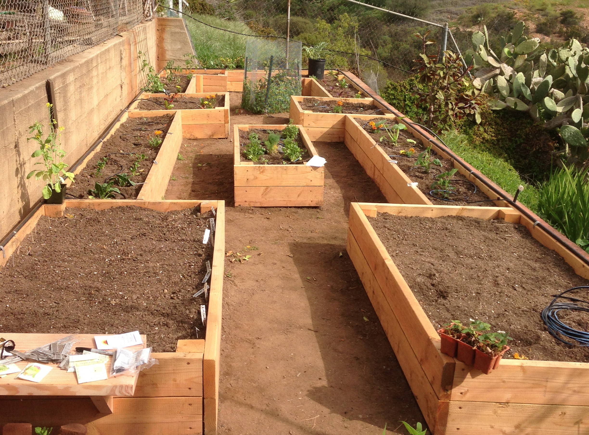 Половший грядку какое. Сидераты на грядках. Сидераты для огорода. Половший грядку какое. Короба для грядок.