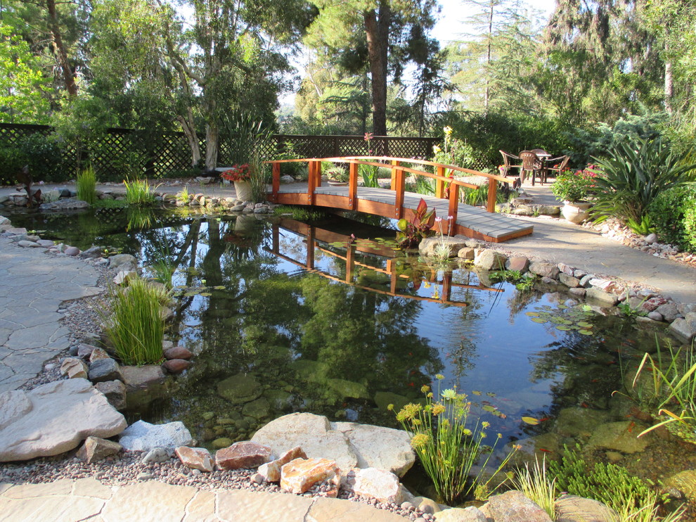 Geometrischer, Großer, Halbschattiger Asiatischer Gartenteich hinter dem Haus mit Betonboden in San Diego