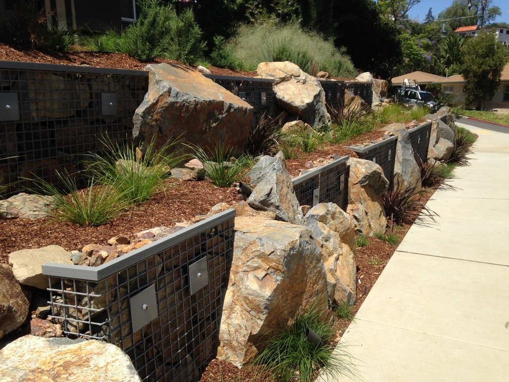 Design ideas for a contemporary drought-tolerant front yard landscaping in San Diego.