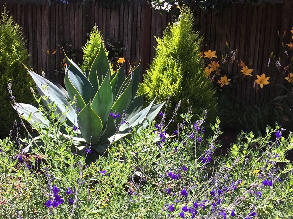 La Selva Beach - Eclectic - Landscape - Other - by Kathleen Shaeffer ...