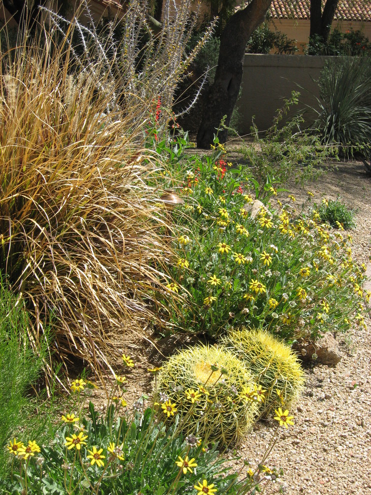 Photo of a mediterranean landscaping in Phoenix.
