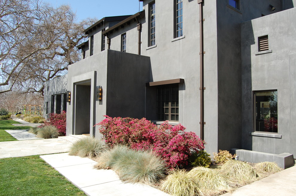 This is an example of a modern landscaping in Sacramento.