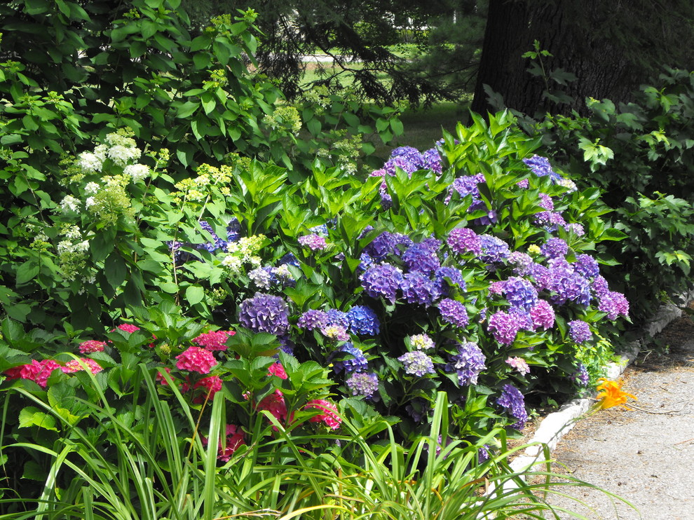 Immagine di un piccolo giardino classico esposto in pieno sole nel cortile laterale in estate