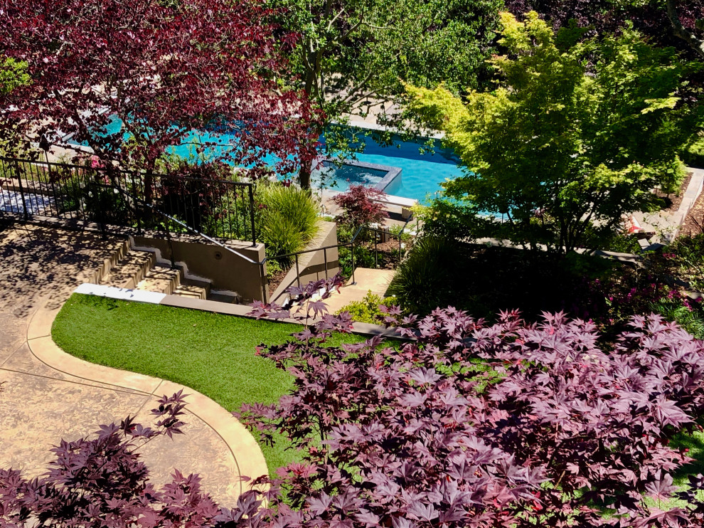 Esempio di un ampio giardino xeriscape moderno esposto in pieno sole dietro casa con un muro di contenimento e pavimentazioni in cemento