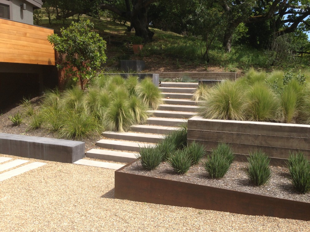 Свежая идея для дизайна: большой солнечный засухоустойчивый сад на склоне в стиле модернизм с хорошей освещенностью, подпорной стенкой и покрытием из гравия - отличное фото интерьера