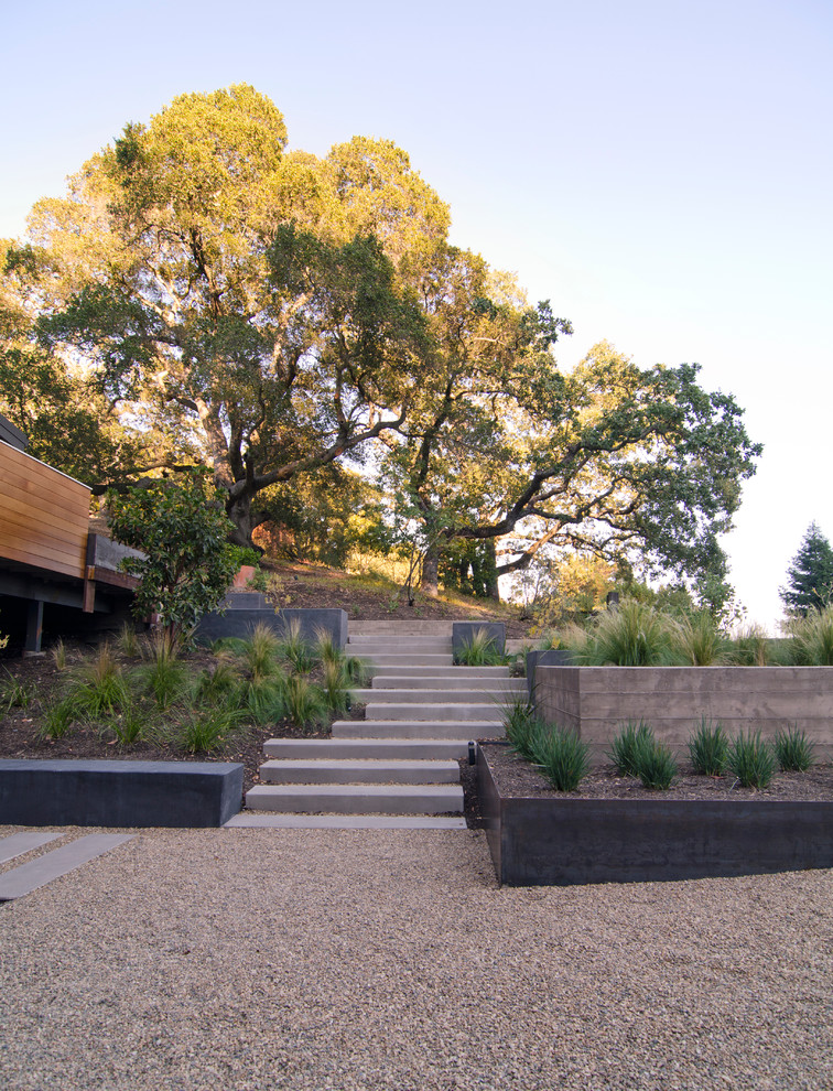 Immagine di un grande giardino xeriscape minimalista esposto in pieno sole con un muro di contenimento, un pendio, una collina o una riva e ghiaia
