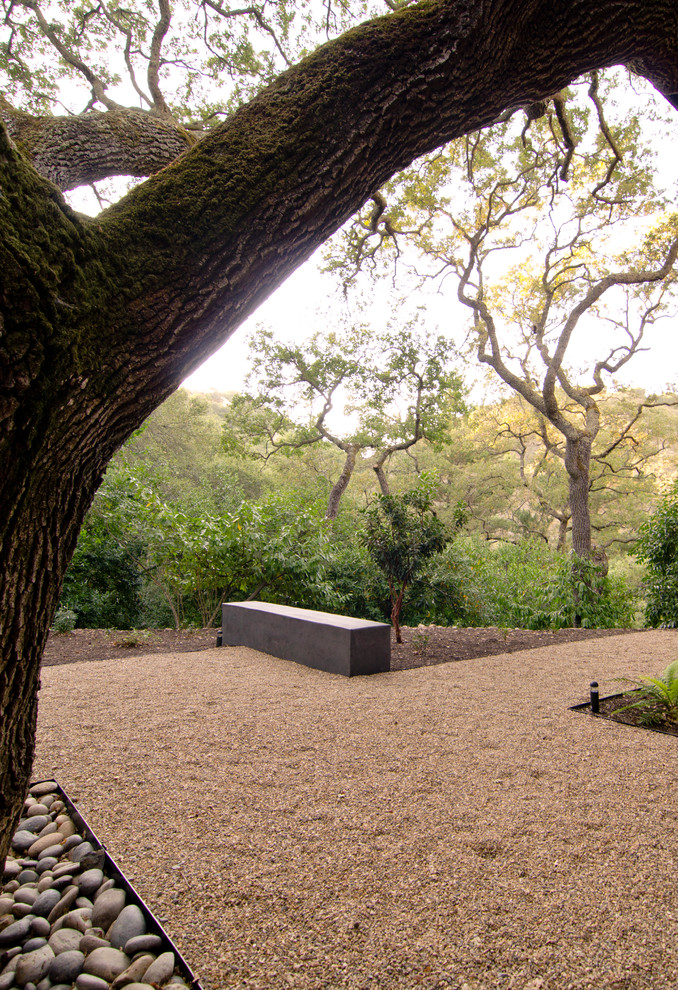 Foto di un grande giardino xeriscape minimalista esposto in pieno sole con un muro di contenimento, un pendio, una collina o una riva e ghiaia