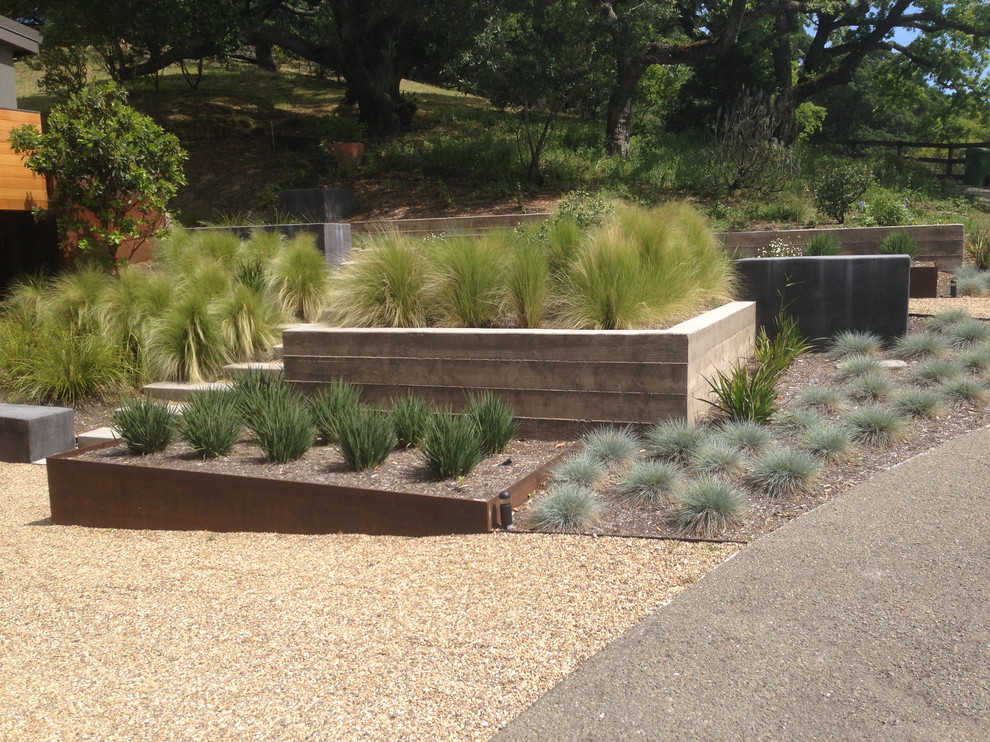 Идея дизайна: большой солнечный засухоустойчивый сад на склоне в стиле модернизм с подпорной стенкой, хорошей освещенностью и покрытием из гравия