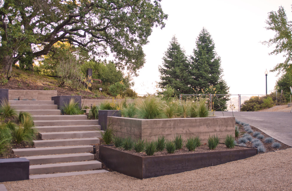 Photo of a large modern sloped xeriscape full sun garden in San Francisco with a retaining wall and gravel.
