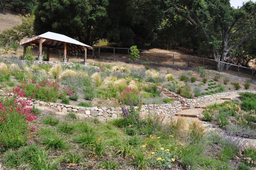 Diseño de jardín mediterráneo con muro de contención