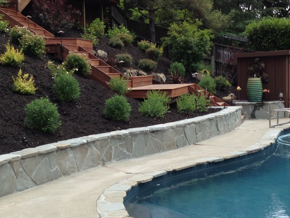 Inspiration for a large contemporary full sun backyard landscaping in San Francisco with decking.