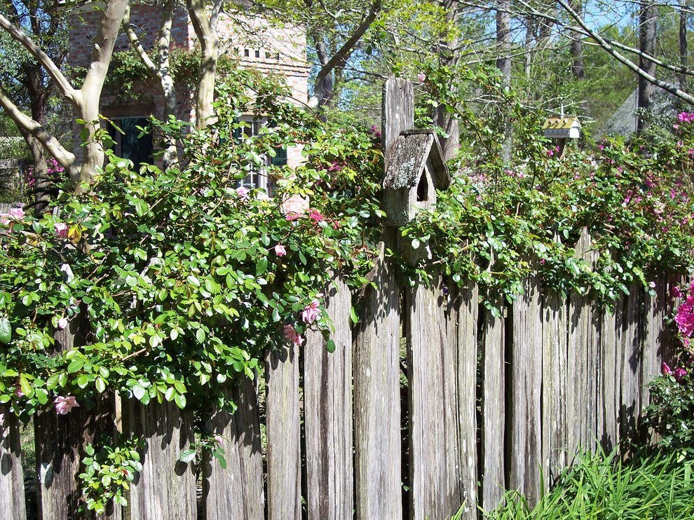 Lafayette Traditional Louisiana Landscape - Traditional - Landscape