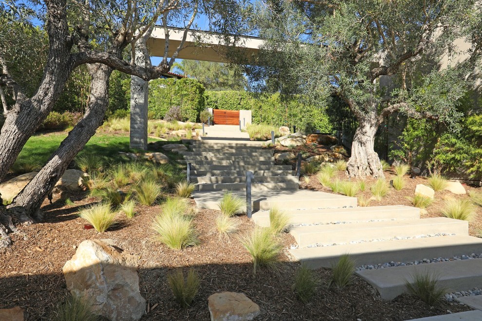 Immagine di un grande giardino minimal davanti casa con un ingresso o sentiero e pavimentazioni in cemento