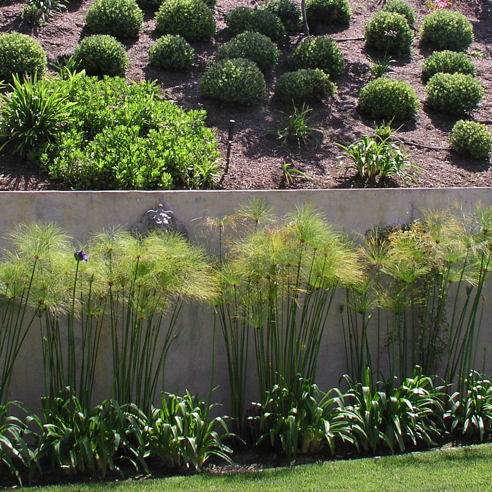 Cette image montre un jardin design avec un mur de soutènement.