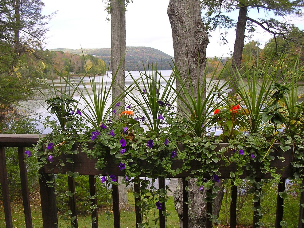 Foto di un giardino chic con un giardino in vaso