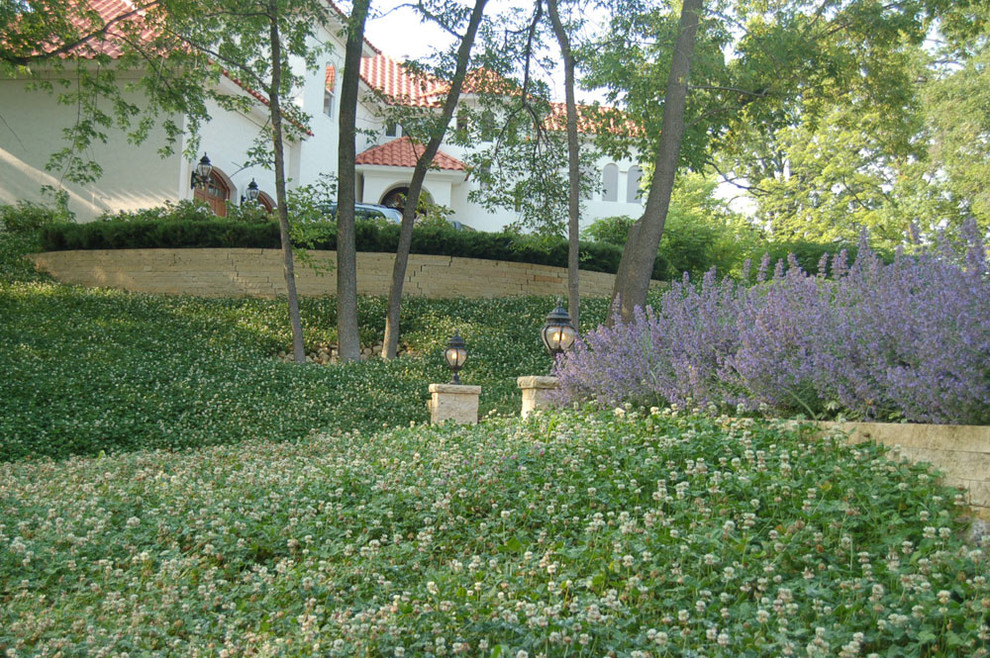 Photo of a mediterranean landscaping in Minneapolis.