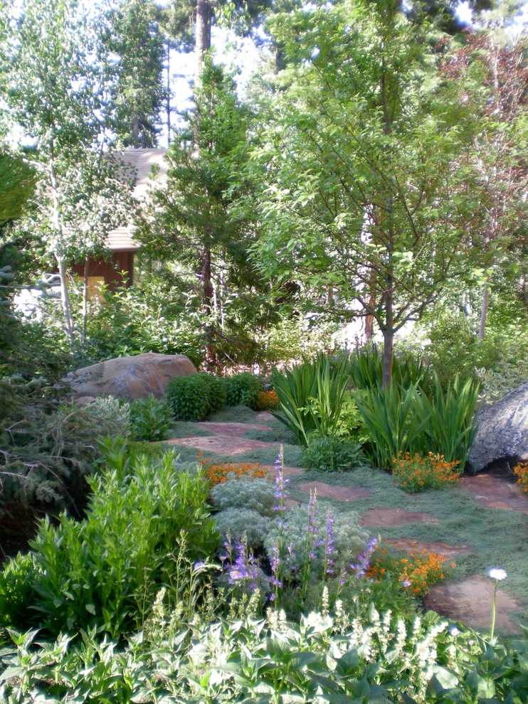 Immagine di un giardino formale stile rurale esposto in pieno sole di medie dimensioni e davanti casa in estate con pavimentazioni in pietra naturale
