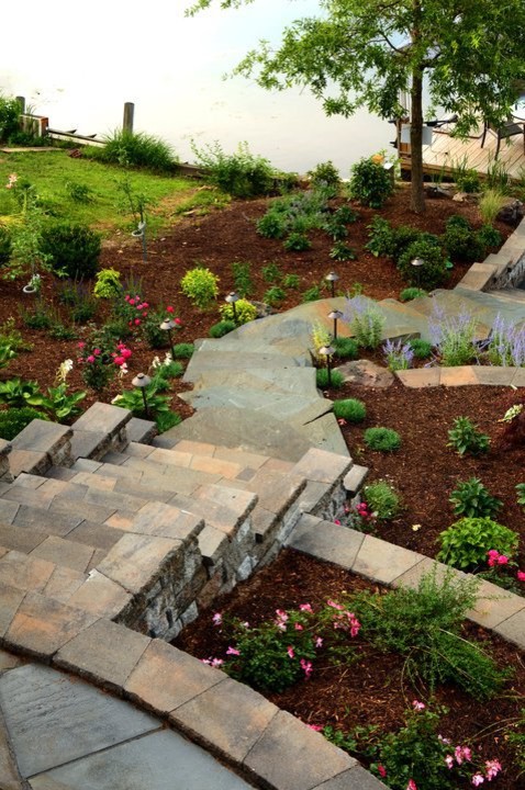 Inspiration for a contemporary landscaping in DC Metro.