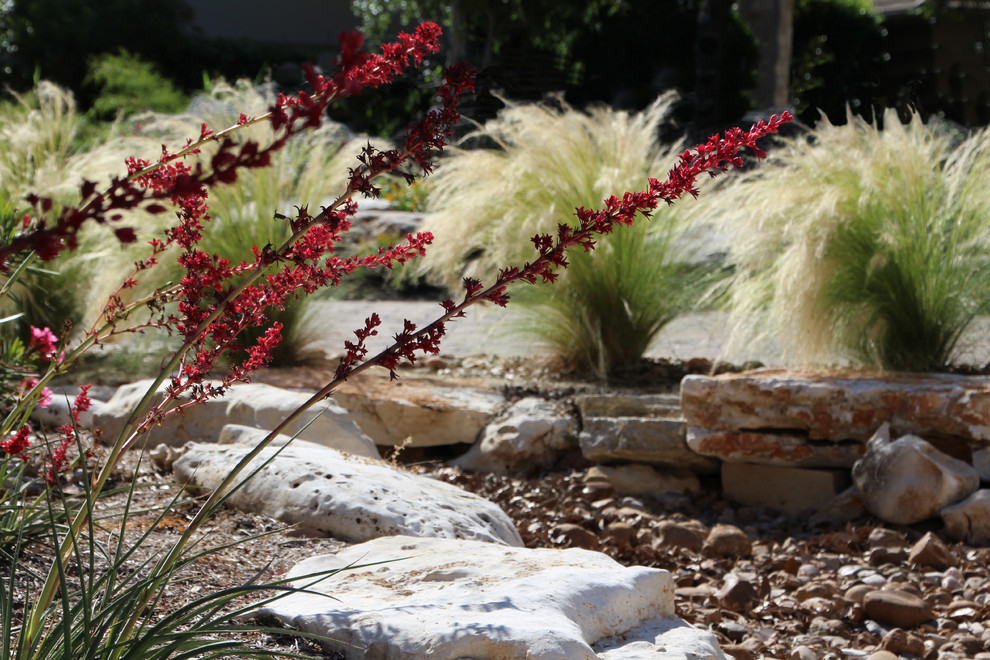 Diseño de camino de jardín de secano rústico grande en verano en patio trasero con exposición total al sol y adoquines de piedra natural