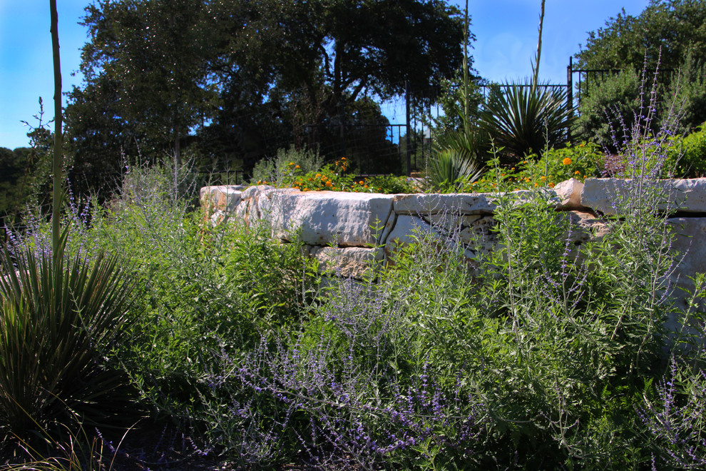 Immagine di un grande giardino xeriscape mediterraneo esposto in pieno sole dietro casa in estate con pavimentazioni in pietra naturale