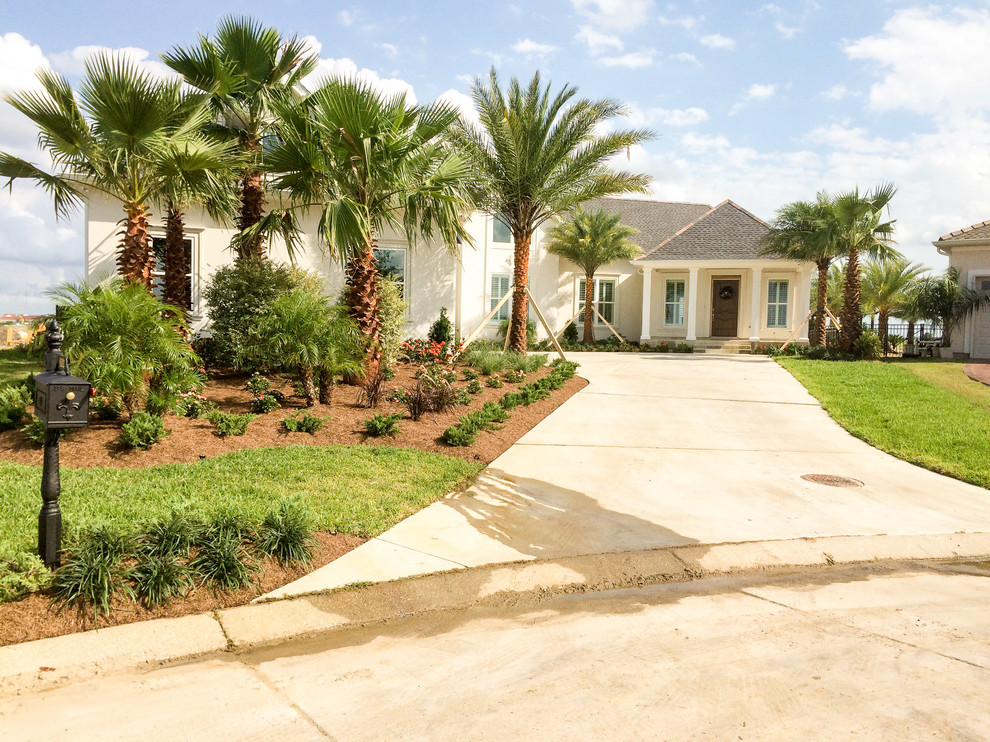 This is an example of a large world-inspired front driveway full sun garden in New Orleans with mulch.