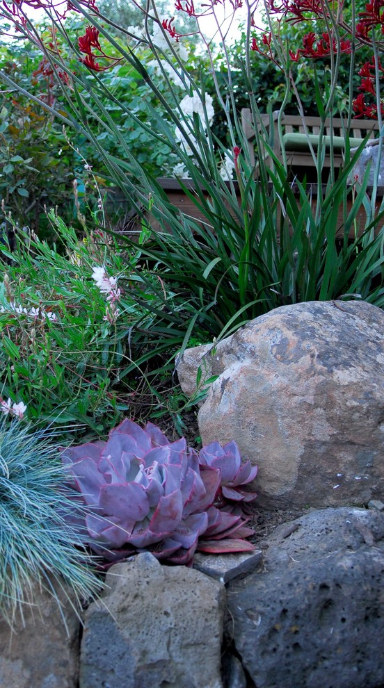 Photo of a medium sized rustic sloped garden in San Francisco with a retaining wall and natural stone paving.