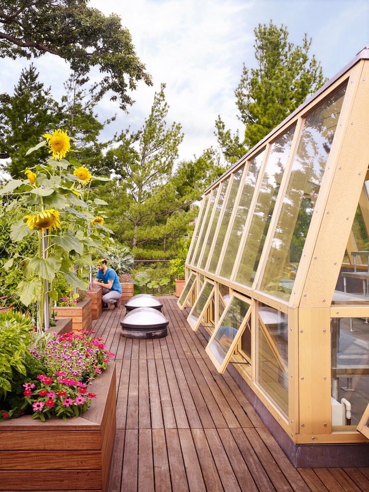 Идея дизайна: солнечный участок и сад на крыше в современном стиле с растениями в контейнерах, хорошей освещенностью и настилом