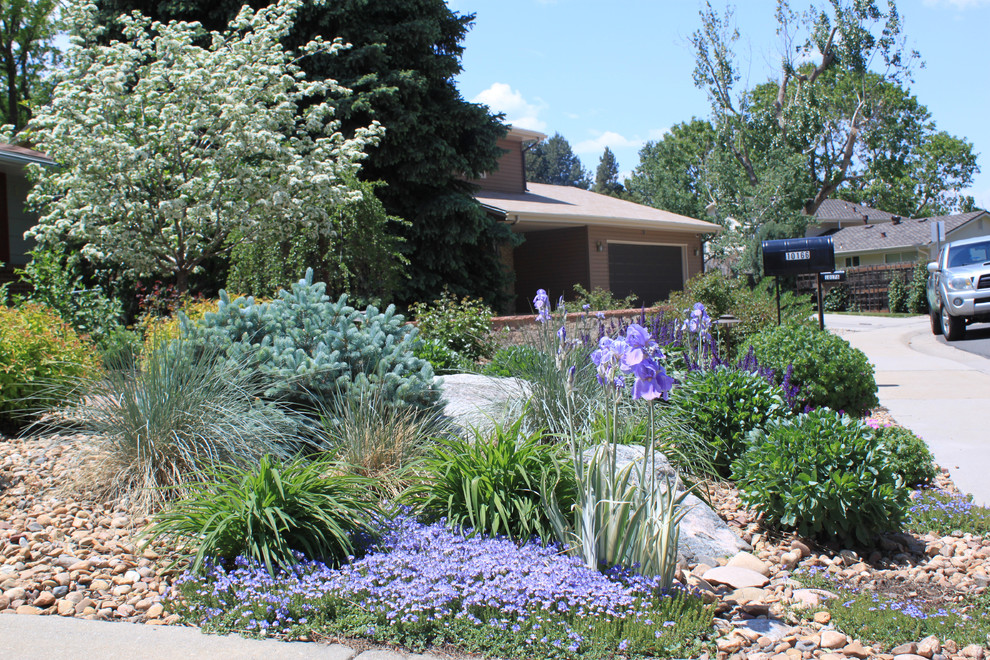 Lakewood Xeriscape Traditional Landscape Denver by Black Forest Landscape Design Studio