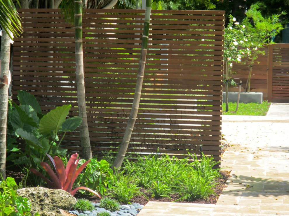 Foto di un giardino tropicale esposto a mezz'ombra davanti casa