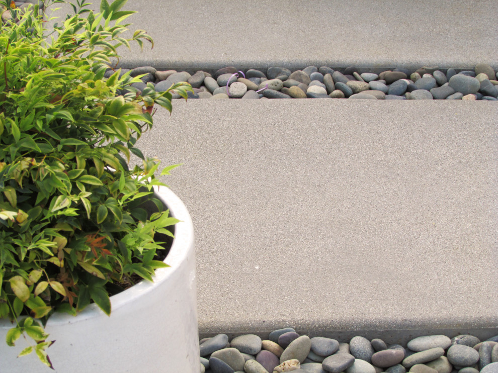 Ispirazione per un giardino minimalista esposto a mezz'ombra di medie dimensioni e dietro casa con un giardino in vaso