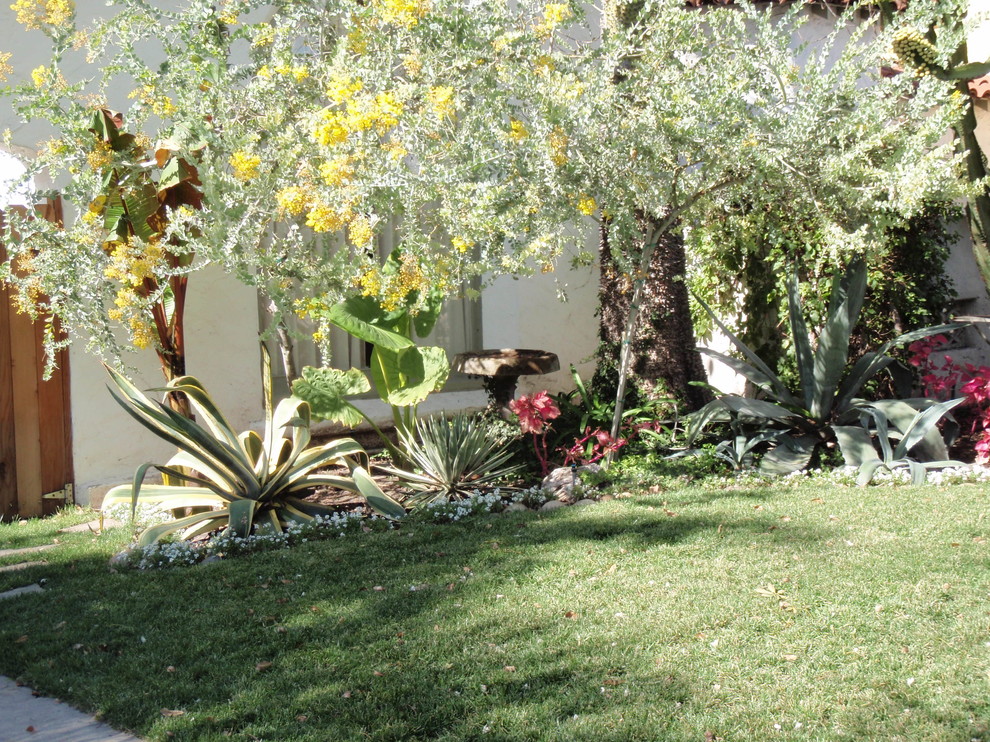 Immagine di un giardino contemporaneo esposto a mezz'ombra di medie dimensioni e davanti casa