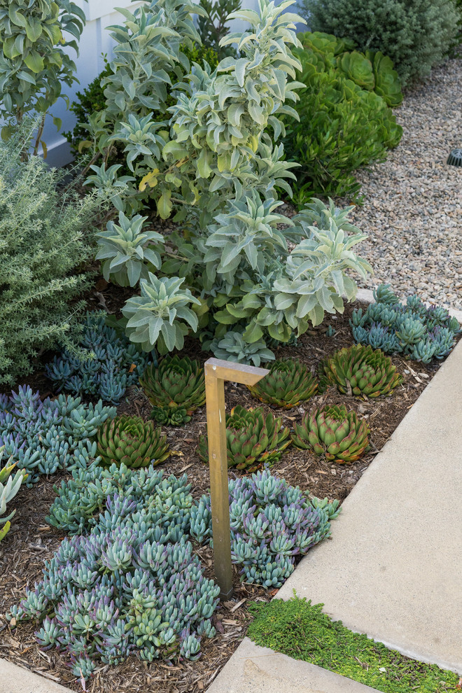 This is an example of a beach style garden in Orange County.