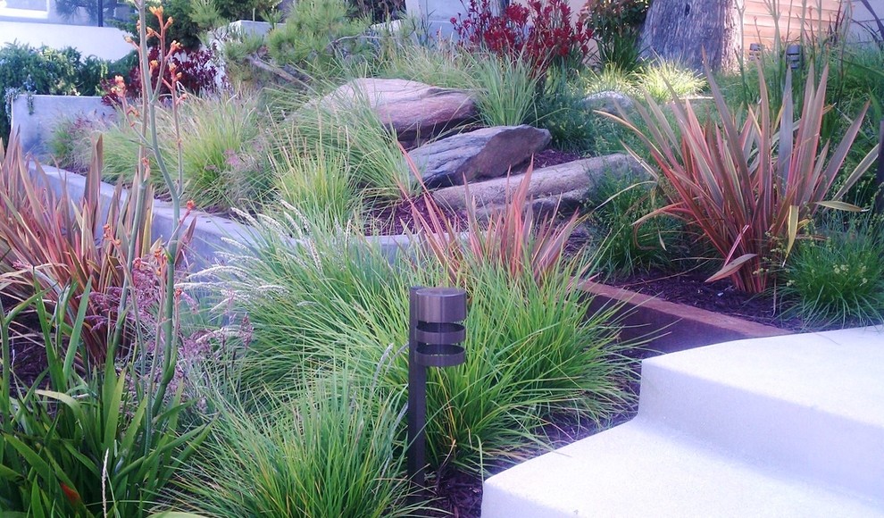 Mittelgroßer, Halbschattiger Moderner Garten mit Mulch in Los Angeles
