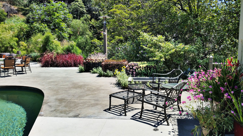 Diseño de jardín de secano moderno grande en verano en patio trasero con fuente, exposición total al sol y adoquines de hormigón