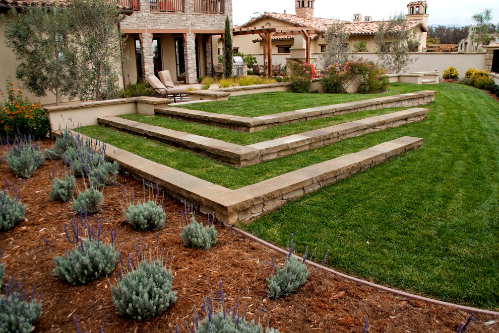 Пример оригинального дизайна: солнечный, летний регулярный сад среднего размера на заднем дворе в стиле фьюжн с подпорной стенкой, хорошей освещенностью и мощением тротуарной плиткой