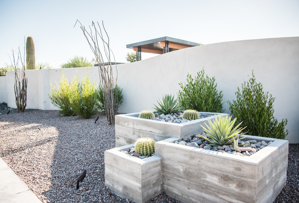Diseño de jardín de secano moderno de tamaño medio en patio delantero con exposición total al sol y gravilla