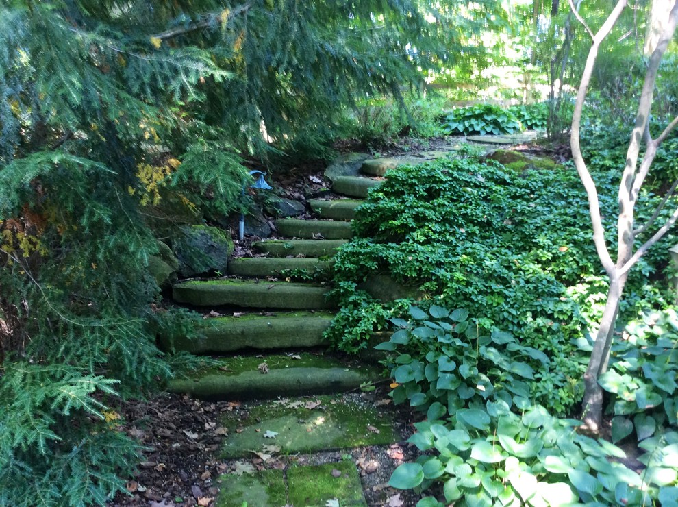 This is an example of a mid-sized traditional shade backyard garden path in Cleveland.