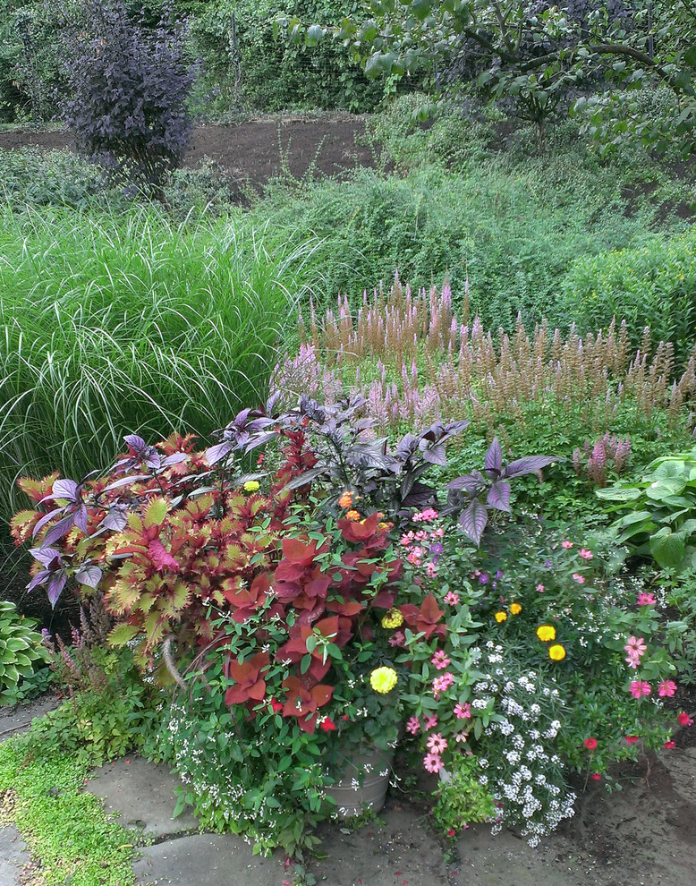 На фото: участок и сад среднего размера на заднем дворе в стиле фьюжн с растениями в контейнерах и полуденной тенью с
