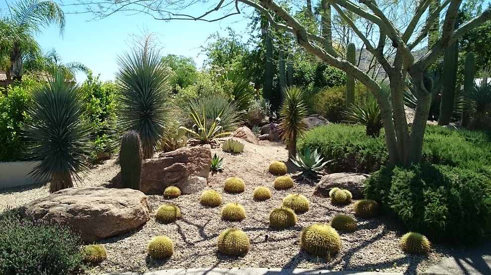 Mittelgroßer, Halbschattiger Mediterraner Garten hinter dem Haus mit Betonboden in Phoenix