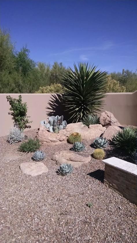 Landscape - Traditional - Landscape - Phoenix - by Desert Environments ...