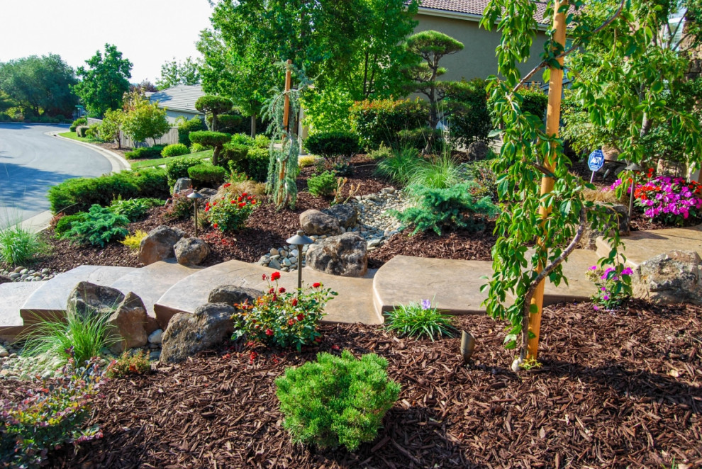 This is an example of a contemporary garden in Sacramento.