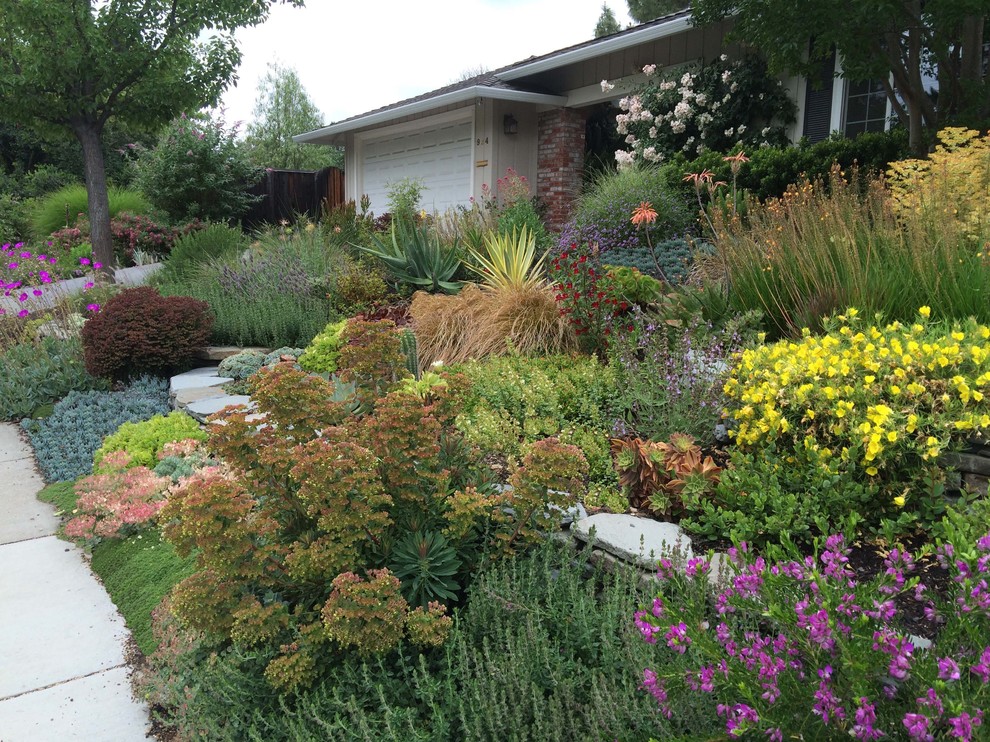 Immagine di un giardino xeriscape tradizionale esposto in pieno sole davanti casa in estate