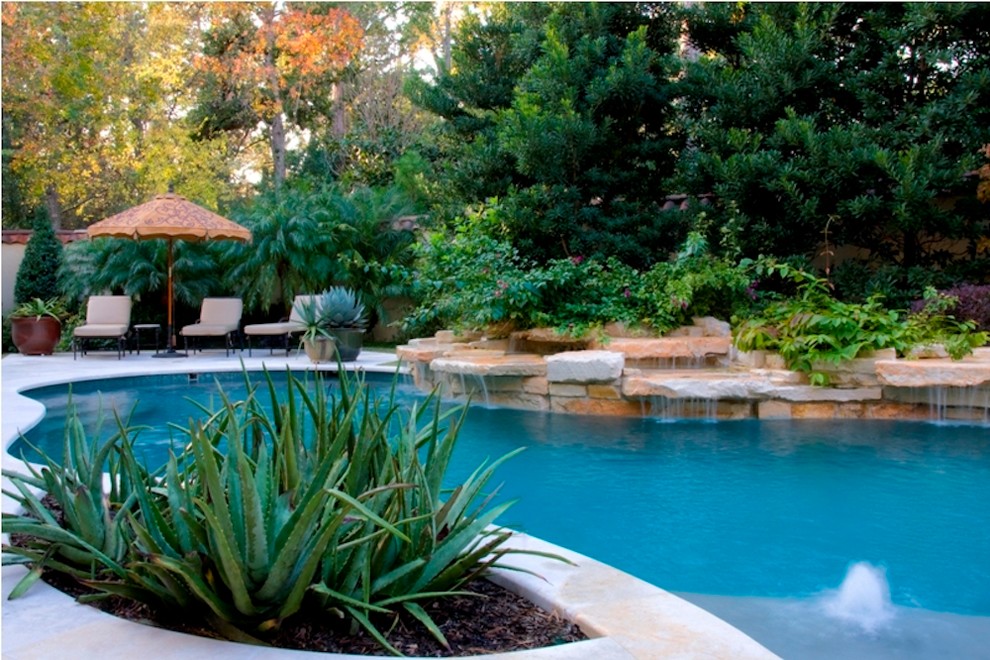 Immagine di un grande giardino tropicale esposto in pieno sole dietro casa in estate con fontane e pavimentazioni in cemento