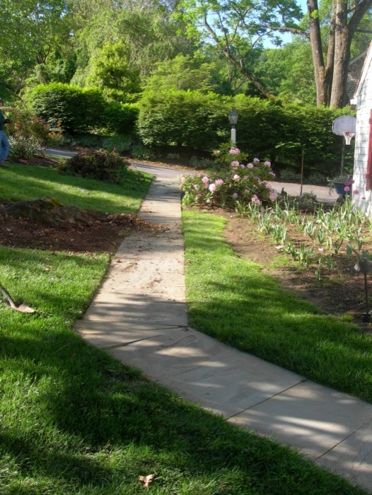 This is an example of a traditional landscaping in Philadelphia.